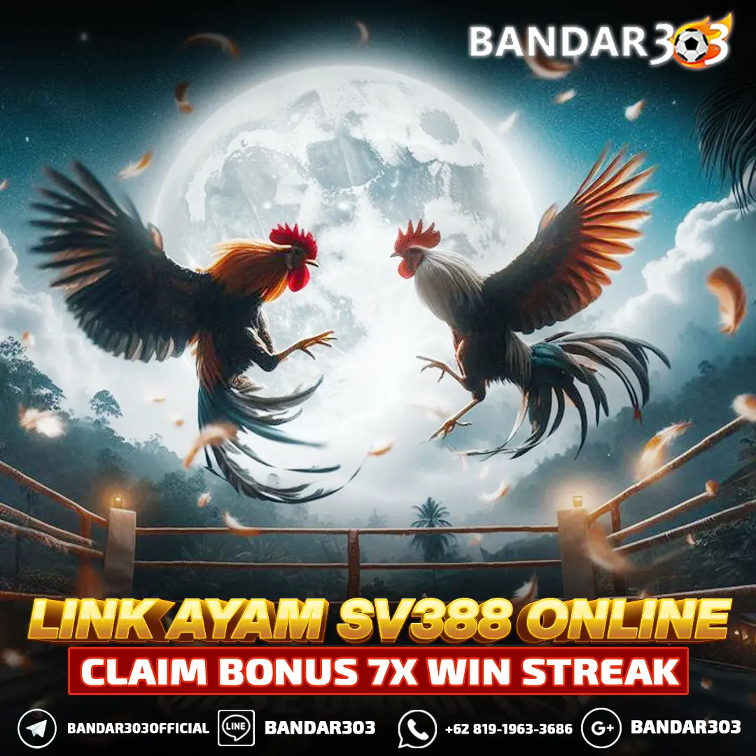 SV388 ⚡️ Agen BANDAR303 Resmi Situs Sabung Ayam Online Terpercaya